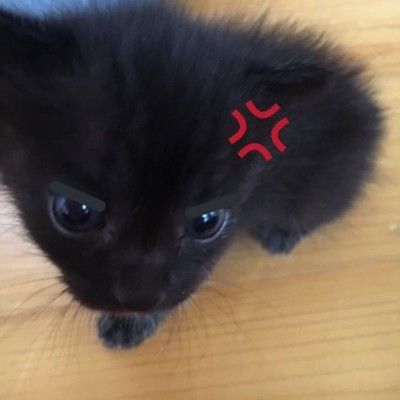 Random image